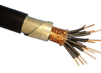 中盛電纜防鼠防蟻電纜FSY11-YJV22